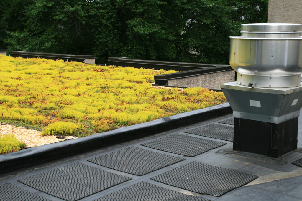 partial green roof top covered with sedum plants